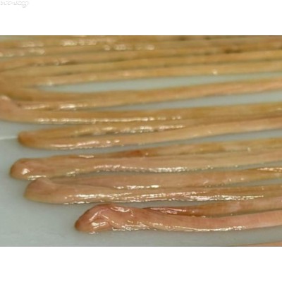 AY08 西班牙Ovinos Manchegos羊腸(約3個月大羊仔，乳飼+草飼，約1.30~2.00kg左右/包)清貨特價HK$20.00/包